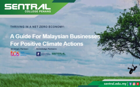 Untitled design (8)